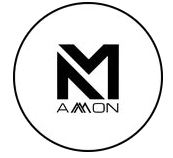 Logo Amon Consulting